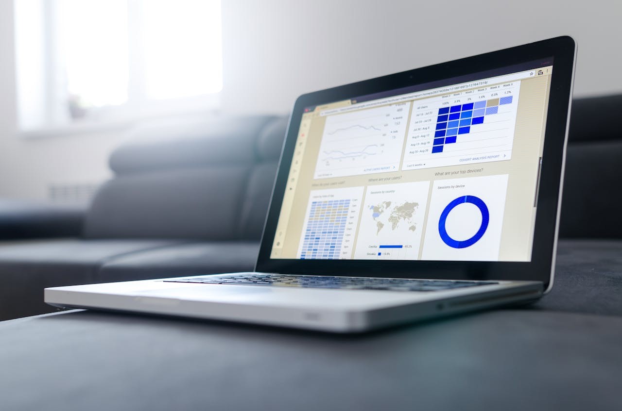 pexels-goumbik-analytics